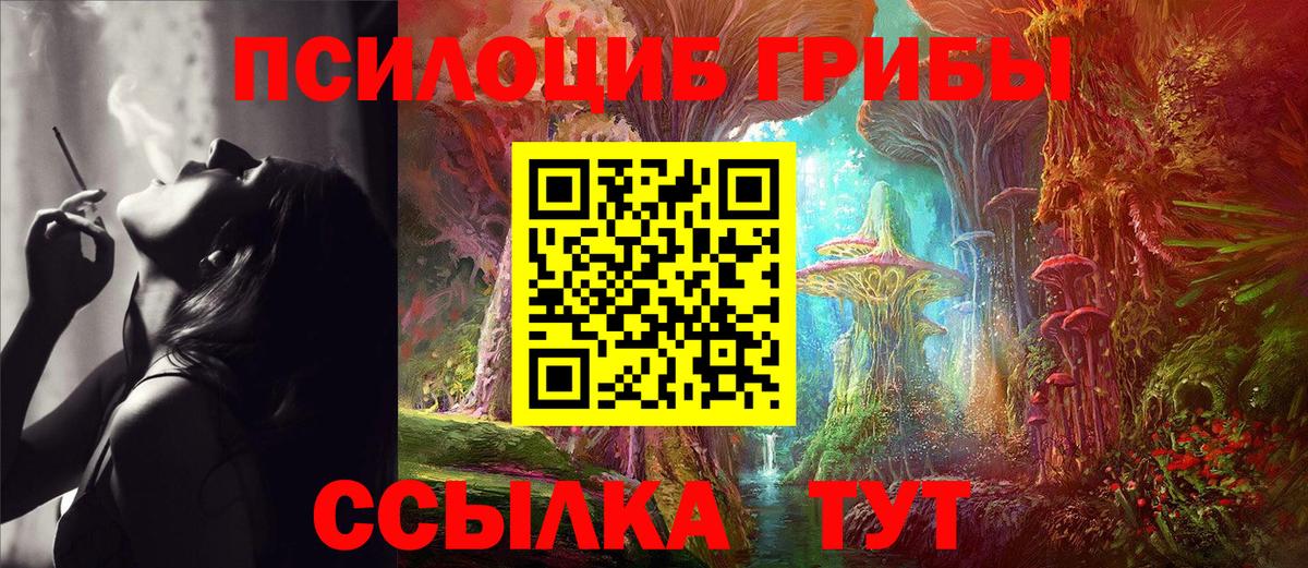 Ногинск  Псилоцибиновые грибы MAGIC MUSHROOMS  Вход с VPN 