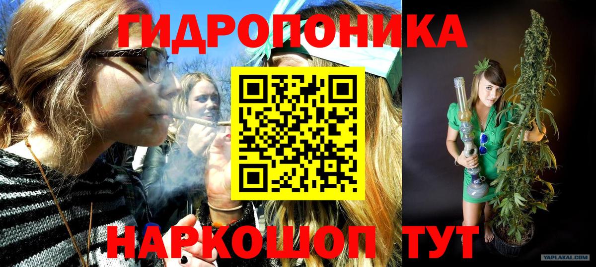 Марихуана MAZAR  Канабис VHQ  Канабис ГИДРОПОН  Ногинск  МАРИХУАНА марихуана  Вход с VPN 
